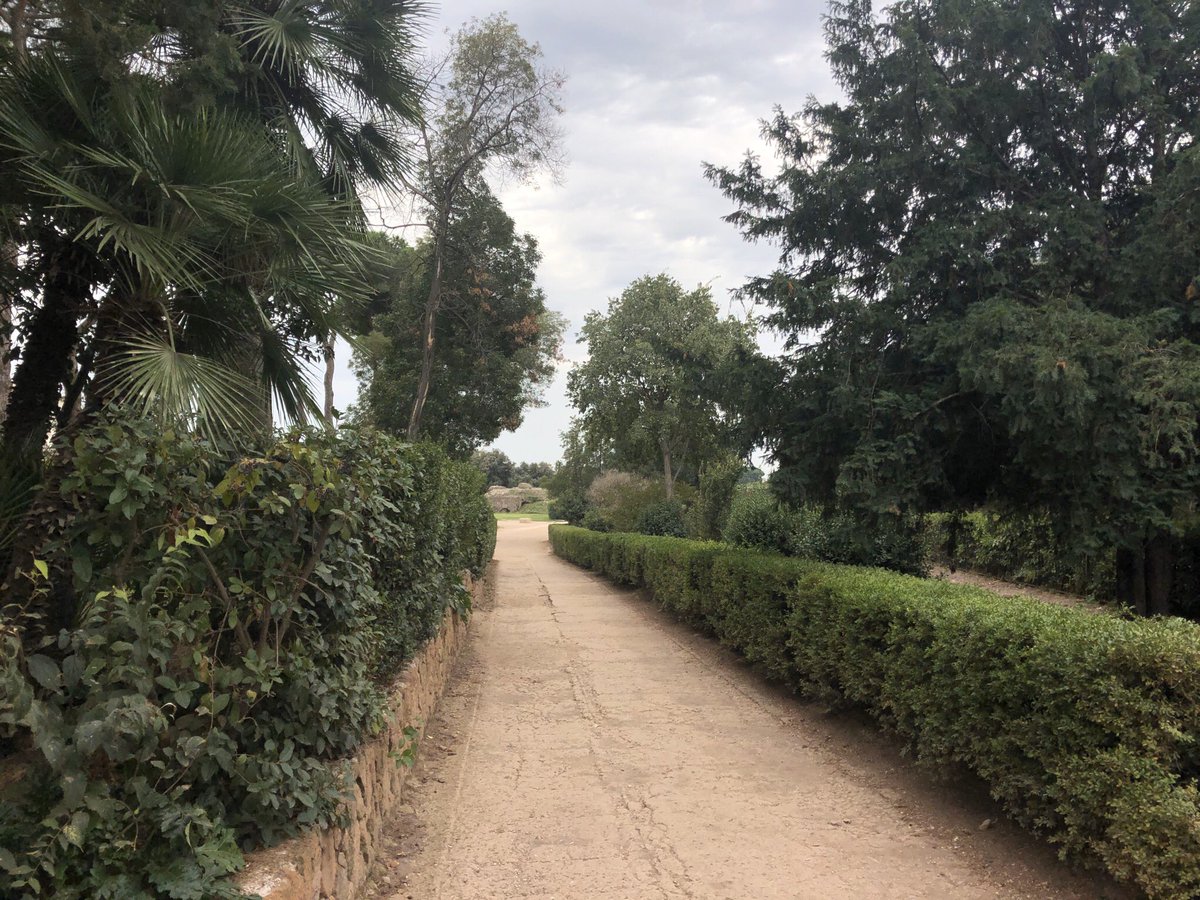 A long clear pathway within Palatine Hill, supported by the green coloured hedges & trees under the cloudy skies. Even if I make it towards the end of the path & appreciate it’s features, I will still be thankful towards the incredible journey that has lead up to it.