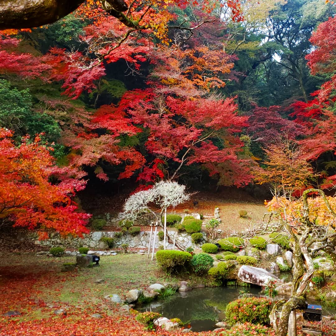 田川郡川崎町 Hashtag Pa Twitter