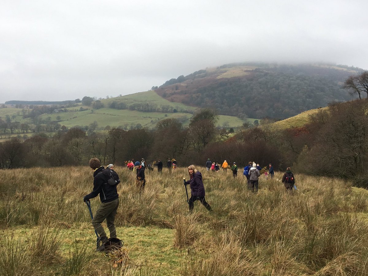 James Rebanks tweet media