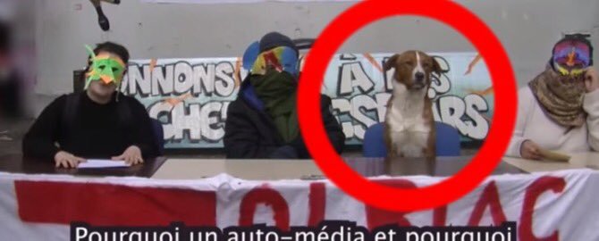 13)Lors du mouvement étudiant de 2018, un chien avait eu une petite célébrité. On l’avait découvert à la table d’une conférence de presse des occupantes et occupant de Tolbiac. Il s’appelait Mercantile