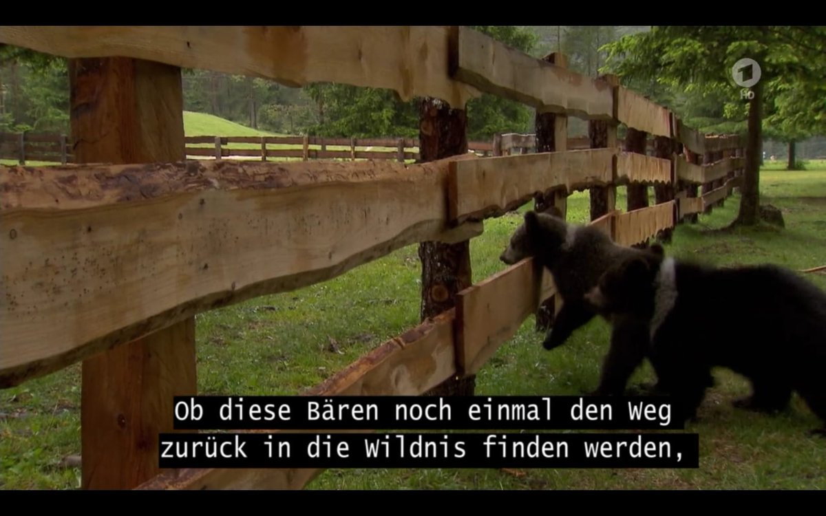 Wille On Twitter Jetzt Geht S Wieder Handy App Untertitel Apple Tv App Keine Untertitel Obwohl Man Sie Angeblich Einschalten Kann Kann Vielleicht Jemand Mal Ne Funfstundenstelle Beim Ard Einrichten Die Sich Vor Jedem