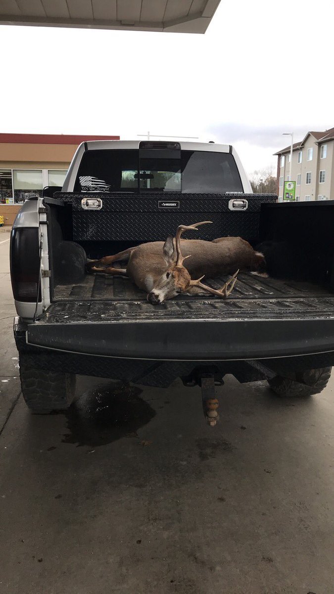 It’s been a while since I’ve harvested a nice buck during gun season. 11/17/19 #bowseasonisstillbetter