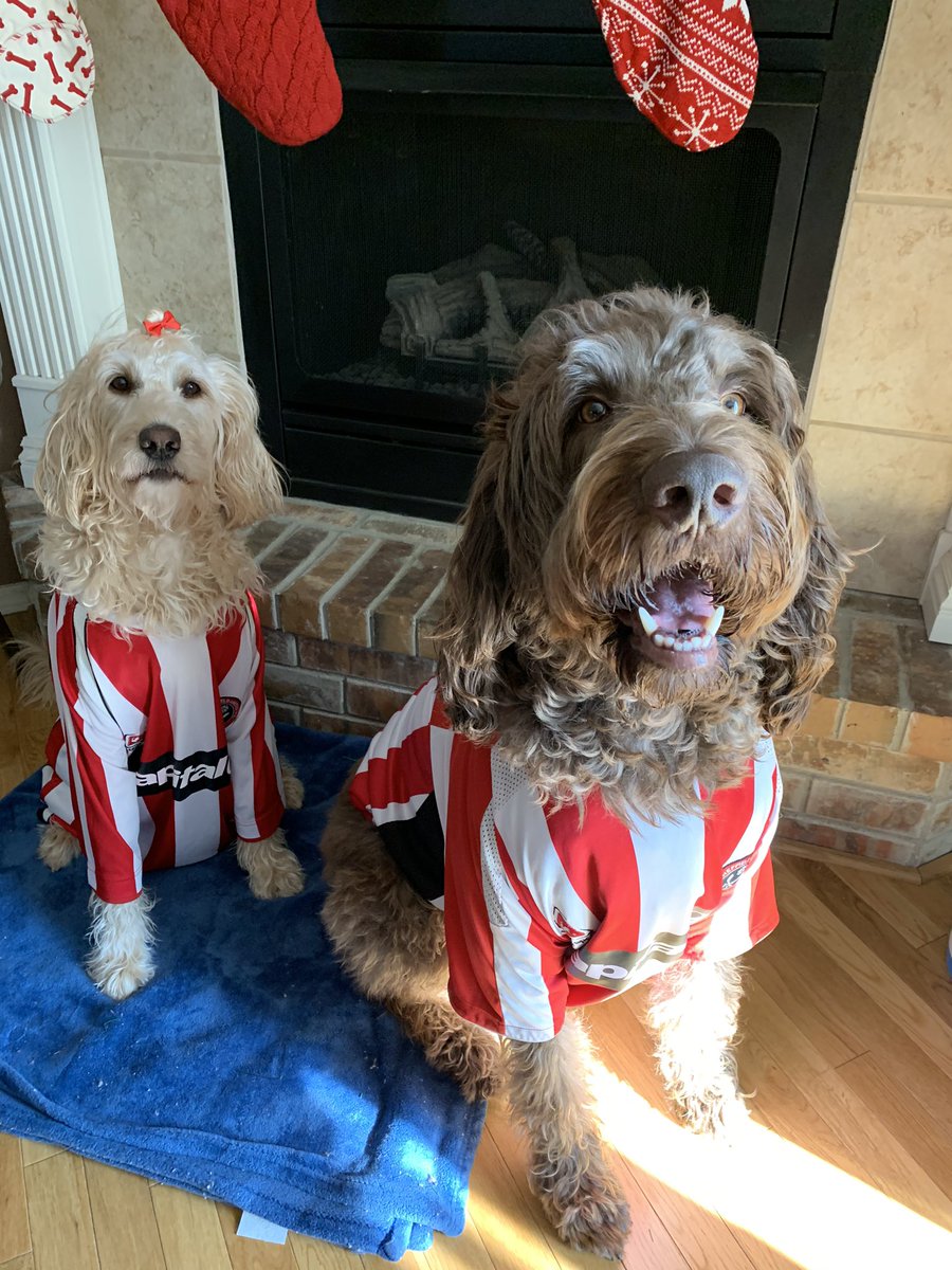 AndrewAftTurner's tweet photo. @NBCSportsSoccer @SheffieldUnited Come on you BLADES #MyPLMorning #greasychipbutty https://t.co/OtlbRlsOIE