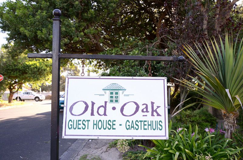 OldOakCT's tweet photo. Did you know...Old Oak Guest House is situated just 20 minutes from the Cape's most popular tourist attractions and business centers, Old Oak Guest House serves as an excellent base from which to explore the wonders of the Cape.
#oldoak https://t.co/8nK6R9VbB3