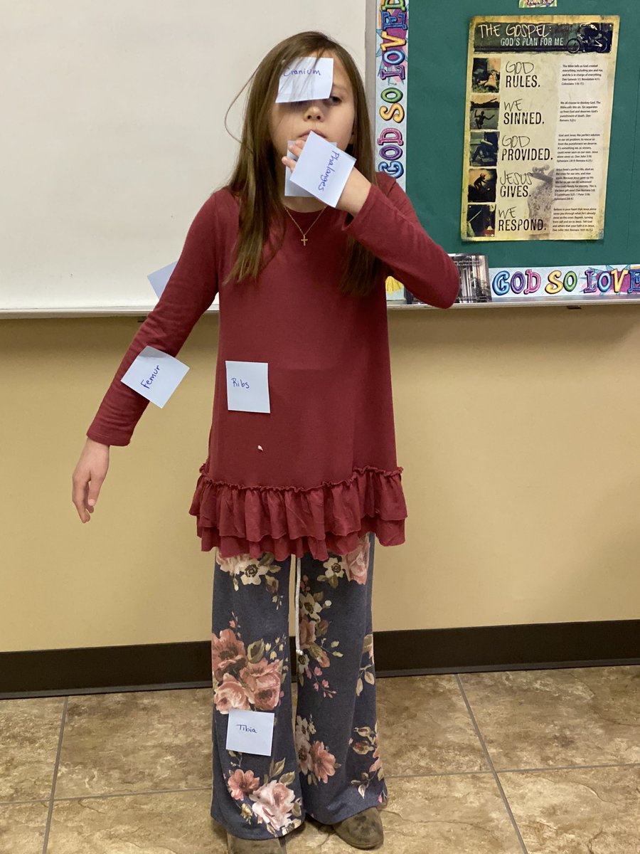 mbrewer24's tweet photo. A lot of bony activities as we study Ezekiel and the valley of dry bones this morning! @Gospel_Project #FBCKIDS https://t.co/tfpVeKN5d2