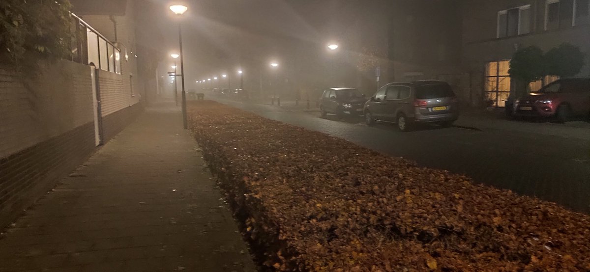 Rayintu's tweet image. Foggy night