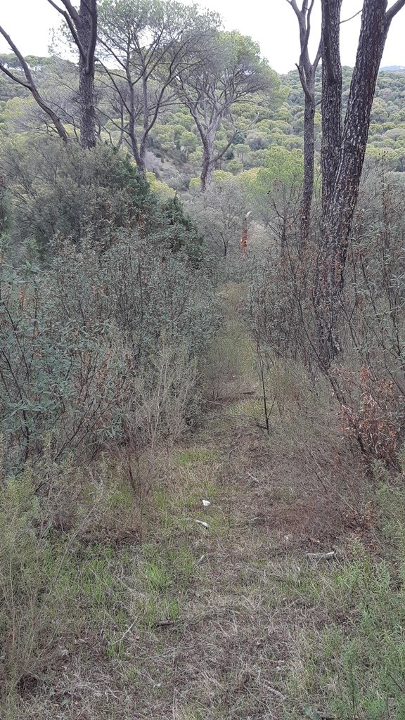 Toledo-Orientación tweet media