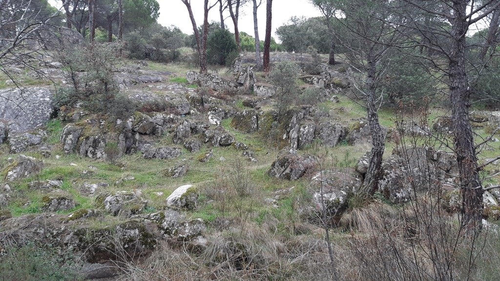 Toledo-Orientación tweet media