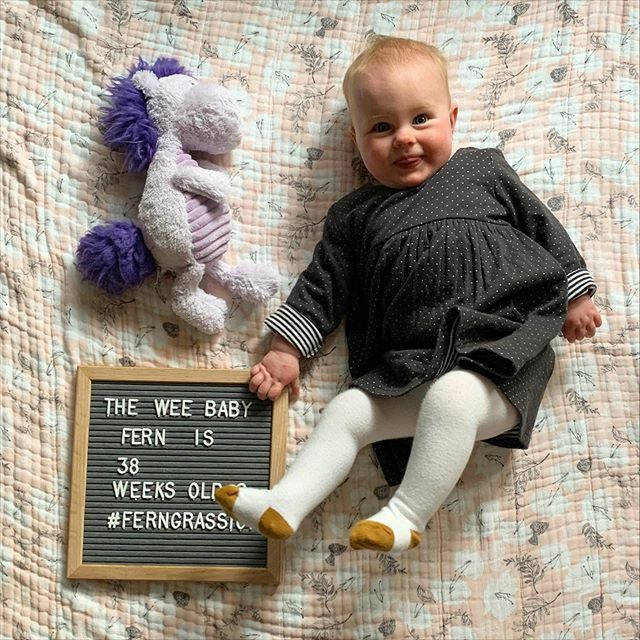 mgrassick's tweet image. I think this is the moment just before her nose started running... #FernGrassick #38WeeksOld #PurpleHorsey ift.tt/2XGIB2Z