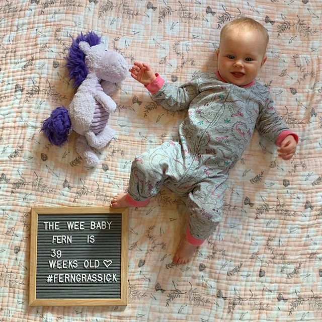 mgrassick's tweet image. Second week of the sickness means we are all wearing PJs #FernGrassick #39WeeksOld #PurpleHorsey ift.tt/2pLDaTI