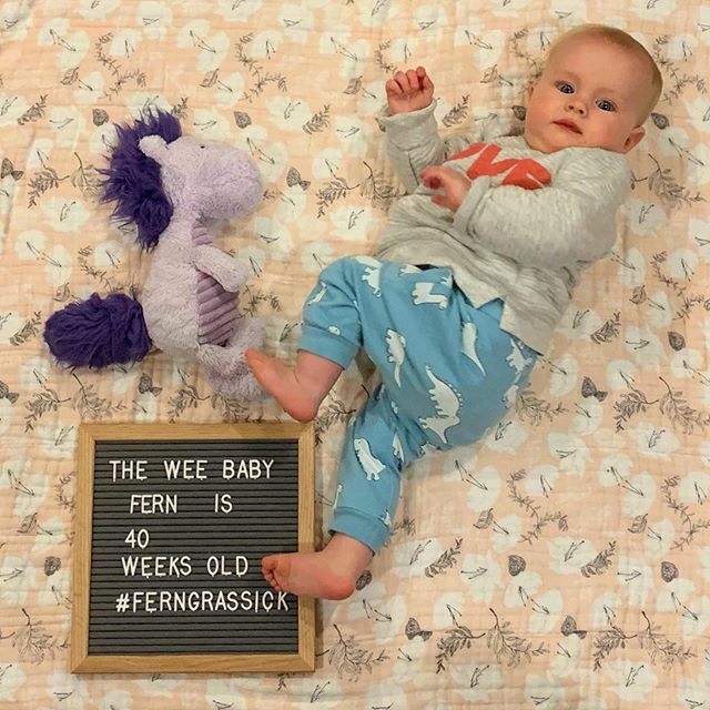 mgrassick's tweet image. Now that she can stand all by herself it's getting harder to lay still... #FernGrassick #39WeeksOld #PurpleHorsey ift.tt/37xSnZF
