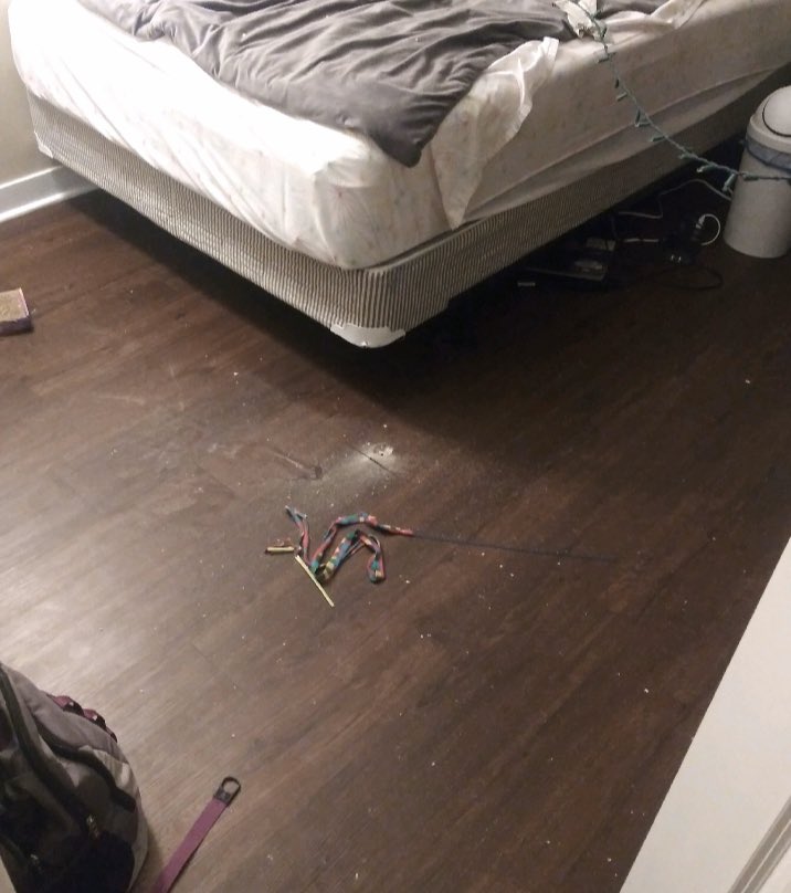 When your room gets shot through the floor by the guy living below you, and the University of Louisville just takes his gun and lets him stay in the complex. #gocards