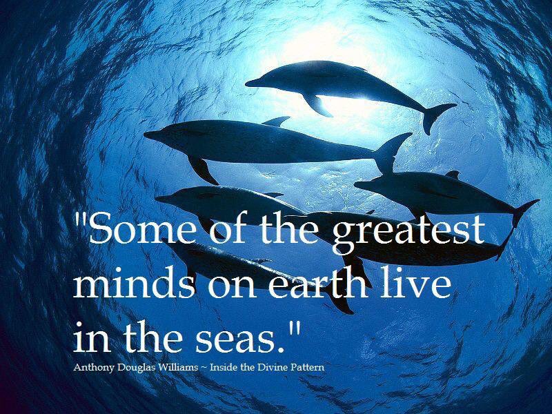Peacevoter's tweet photo. ๐๐TAIJI Update: The boats stay docked in the harbor due to weather! #BlueCove #RainDanceTime๐ง๐ง๐ง https://t.co/2wmW0bsnBc