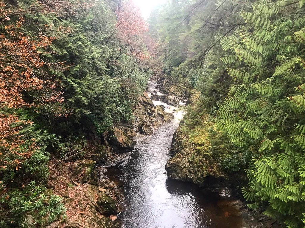 _mbspain's tweet image. Great ride out at @CoedyBreninFP this morning with @StephDuits and thanks for the workout 😉

#mtb #wales #findyourepic #transportugal #transportugaltraining #cycling #hardcorehardtail #hardtailhardcore #steelisreal #cotic #coricbfe #bfe