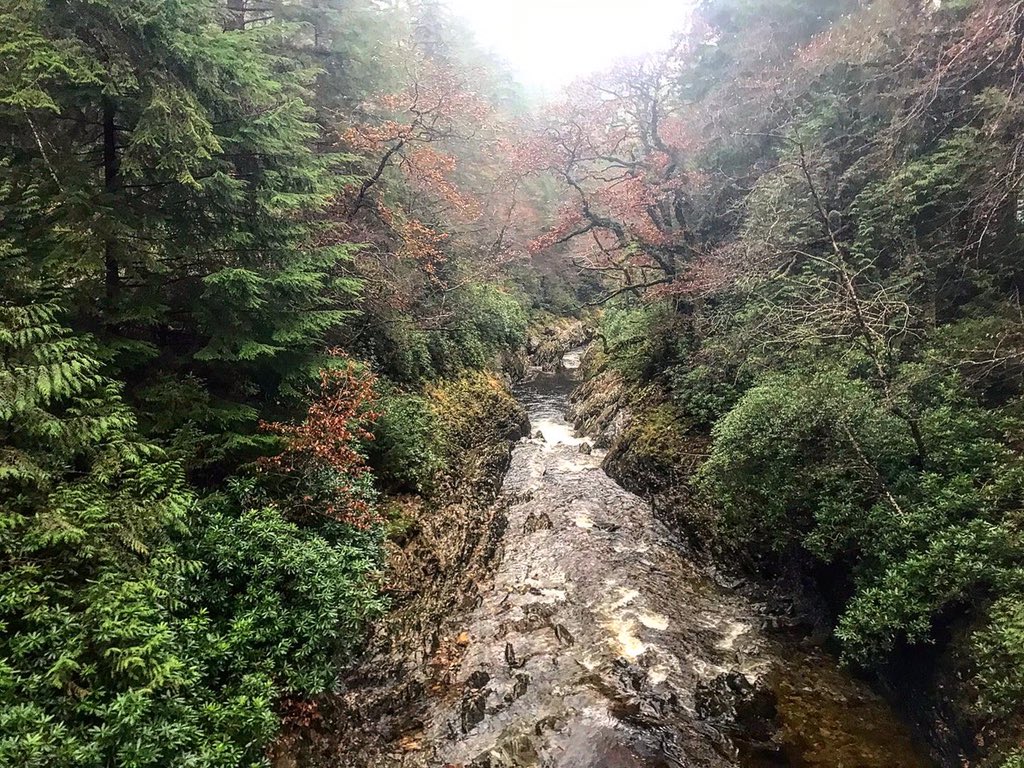 _mbspain's tweet image. Great ride out at @CoedyBreninFP this morning with @StephDuits and thanks for the workout 😉

#mtb #wales #findyourepic #transportugal #transportugaltraining #cycling #hardcorehardtail #hardtailhardcore #steelisreal #cotic #coricbfe #bfe