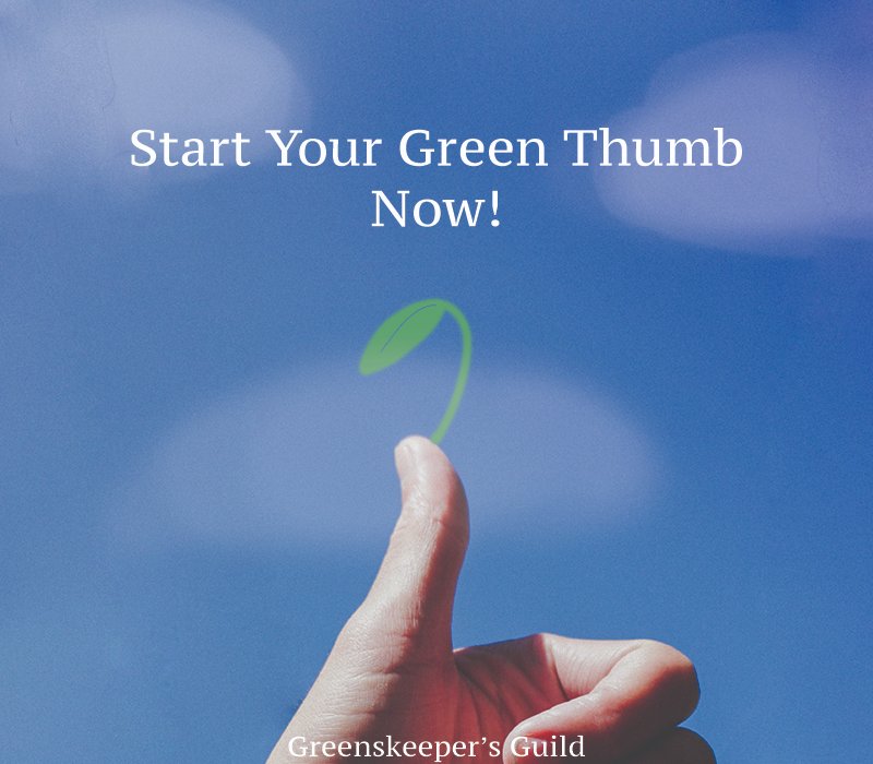 Greenskeeper'sGuild tweet media