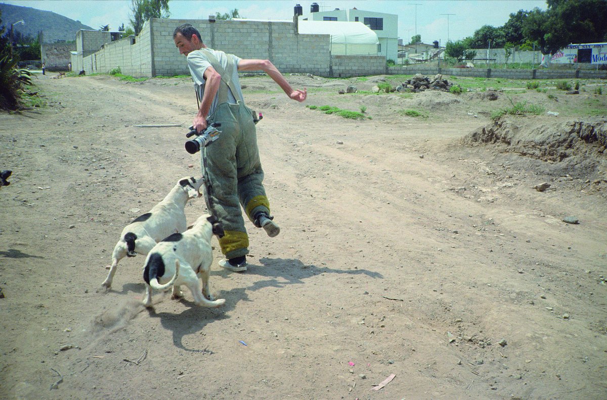 ccemx's tweet photo. La confrontación entre un grupo de perros, la cámara como protagonista y el artista Francis Alÿs son los hilos del video "El gringo" que puedes ver en "¿No oyes ladrar a los perros?" #CulturasDisidentes. ¡Visítala de martes a domingo! 🐾 https://t.co/AzlEuYPcBV @ https://t.co/wlDPkGwTrJ