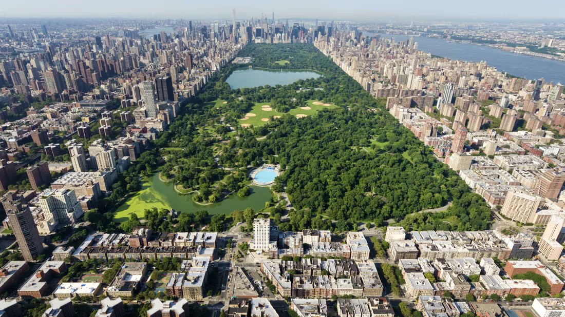 Central Park es el parque urbano más grande de Nueva York y uno de los más grandes el mundo. Mide más de 4 kilómetros de largo y 800 metros de ancho. Hay praderas, lagos artificiales, cascadas, campos deportivos y zonas que parecen un auténtico bosque.
