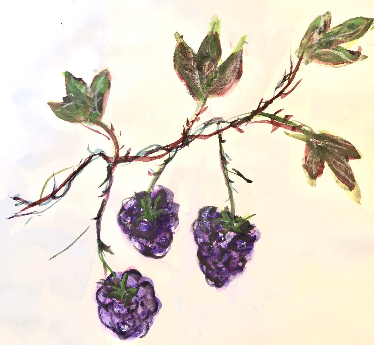 #doodlwashNovember2019
#doodlewashNovember2019FunThingstoDraw
Day 12: Berries