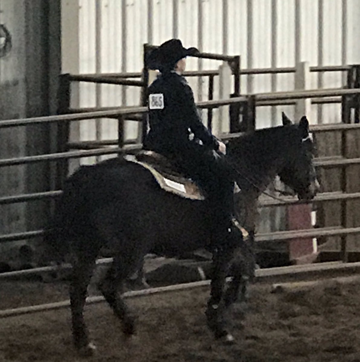 Redhawks Equestrian tweet media