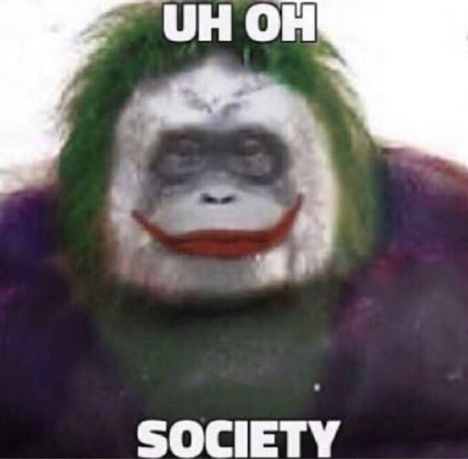 EKKMmS4XUAEtnvg?format=jpg&name=900x900