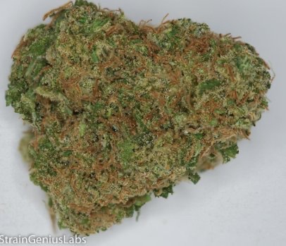 StrainGeniusLab's tweet image. Check out the ZACK'S PIE we tested for Los Angeles Farmers  THC: 27.45% CBD: 0.09% CBN: 0.05% #MMJ
