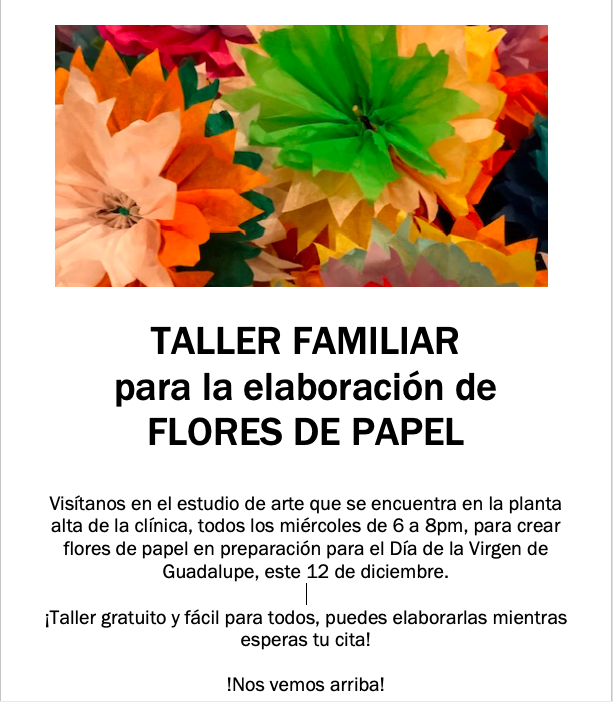 Puentes is organizing several paper flower manufacturing workshops in preparation for the Day of the Virgin of Guadalupe! ¡Puentes está organizando varios talleres de fabricación de flores de papel en preparación para el Día de la Virgen de Guadalupe!