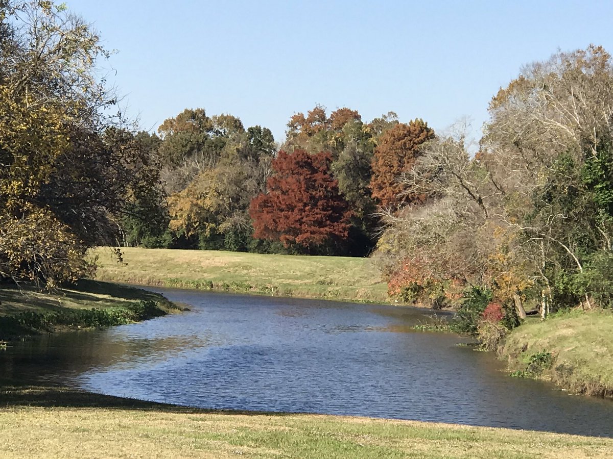 MariaCurtis1's tweet image. Enjoying the gorgeous fall weather! 🍂🍁🍂🍁🍂🍁🍂🍁🍂🍁🍂🍁🍂🍁