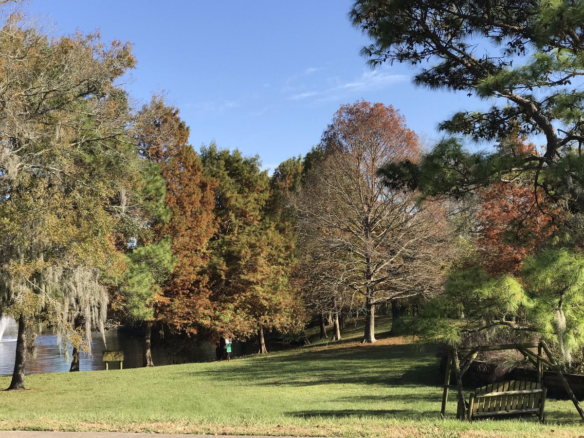 MariaCurtis1's tweet image. Enjoying the gorgeous fall weather! 🍂🍁🍂🍁🍂🍁🍂🍁🍂🍁🍂🍁🍂🍁