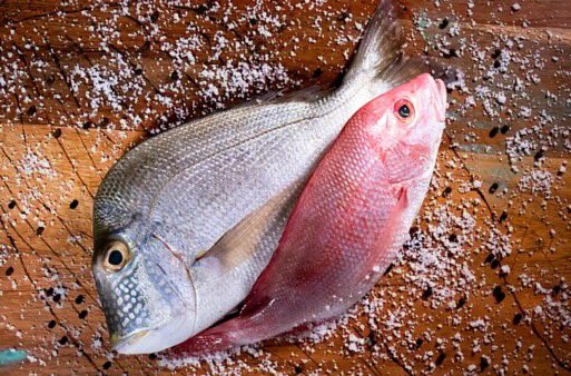 Pesca responsable y con amor al mar nos manda Erik Guerrero de Mi Pesca Veracruzana.