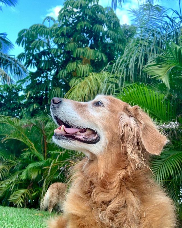 TheGoldenRatio4's tweet photo. Swizzle Sunday! https://t.co/55O3c0wMoT