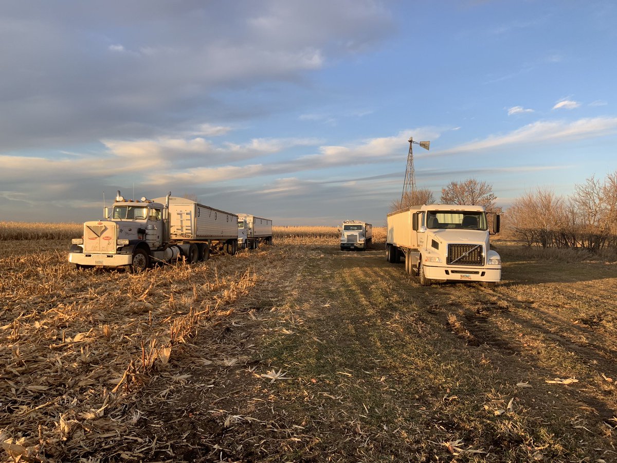 PlsntVlyFarmer's tweet photo. We were moving to my first field of June corn and a buddy called and asked if we wanted his 2 trucks to go with ours. “Hell yes!”. Good neighbors, good friends. On a side note, yield on June planted is slightly less than I hoped, but drier than I feared. #corn2019 https://t.co/ClVYkK23Y1
