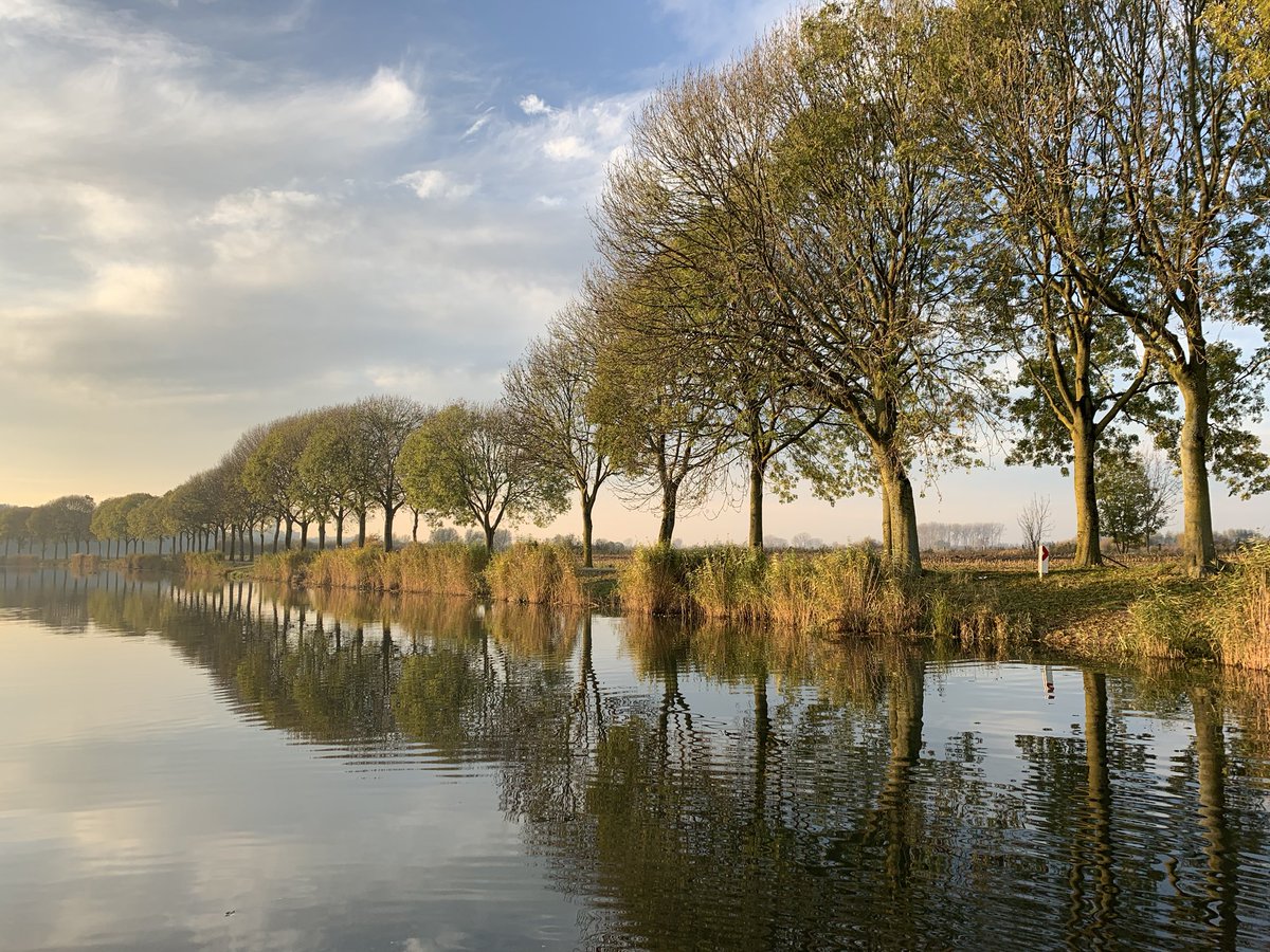 noelleaarts's tweet photo. vanmiddag in de Ooypolder #mijnnatuurblijft https://t.co/gHwQytFN3c