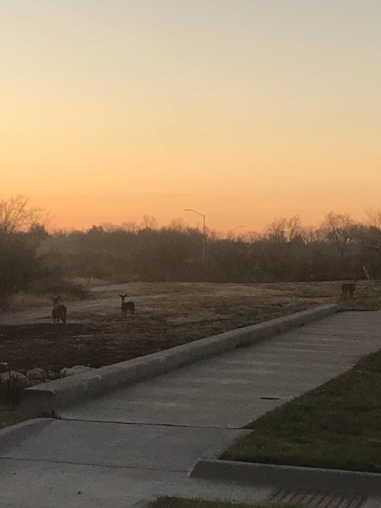 kateandmrt's tweet photo. Every step was a mental battle. Wanted to quit before mile 3, but I kept going! 7 miles done, and I saw some of the best sites that helped me push through! Happy Sunday everyone! #GoSpeedy π #Raceadvisor #Run2NotFrom #SquadEasy https://t.co/d77kJ3Qdg8