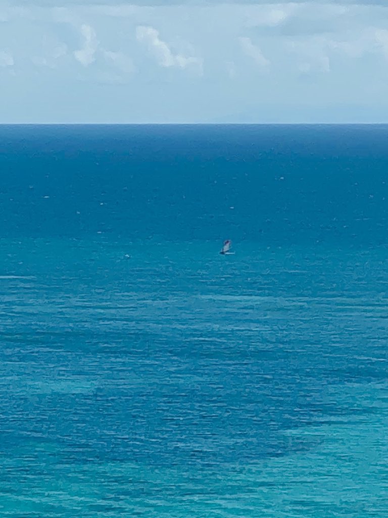 no_jstm's tweet photo. #UnDimancheEnGuadeloupe #Foil #Windsurf @VilleduGosier @Guadeloupe @Paradise  @visitGuadeloupe @jules_lohan 🏝🏄🏻‍♂️🌞😎 https://t.co/wMCm3Ku1Uh