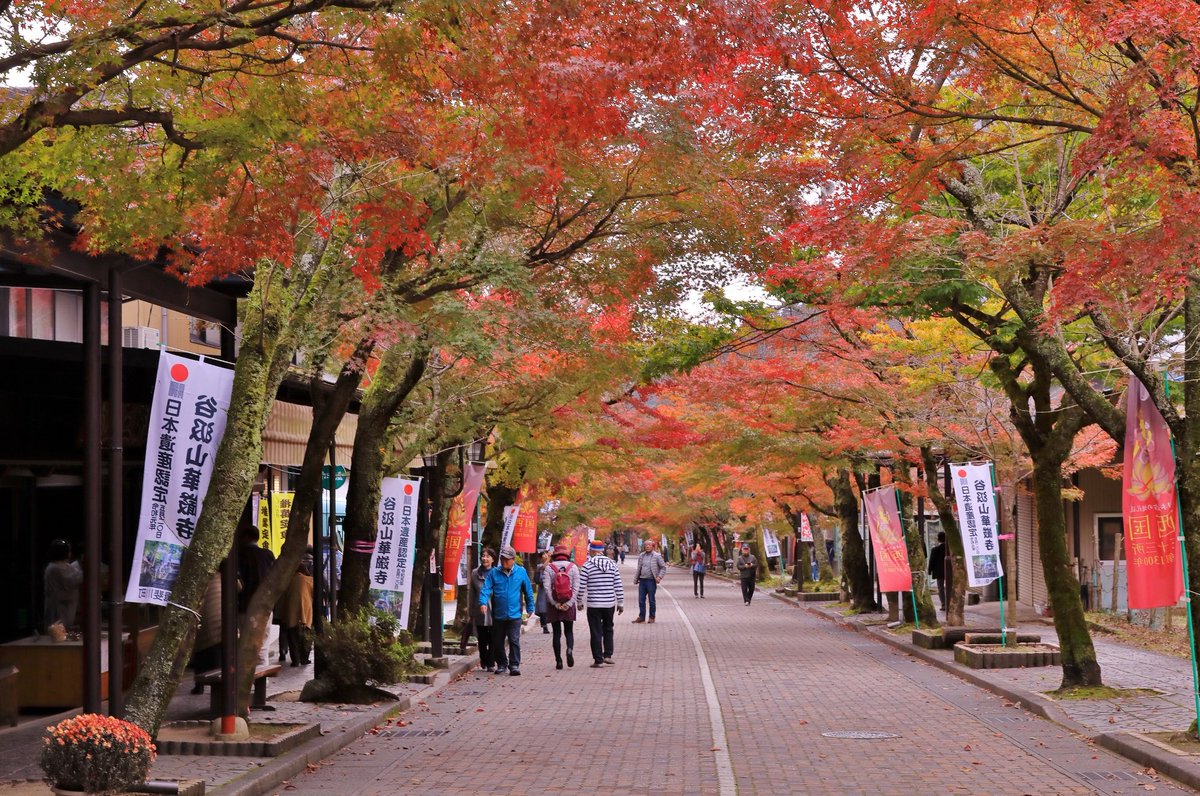 谷汲山華厳寺 谷汲山華厳寺