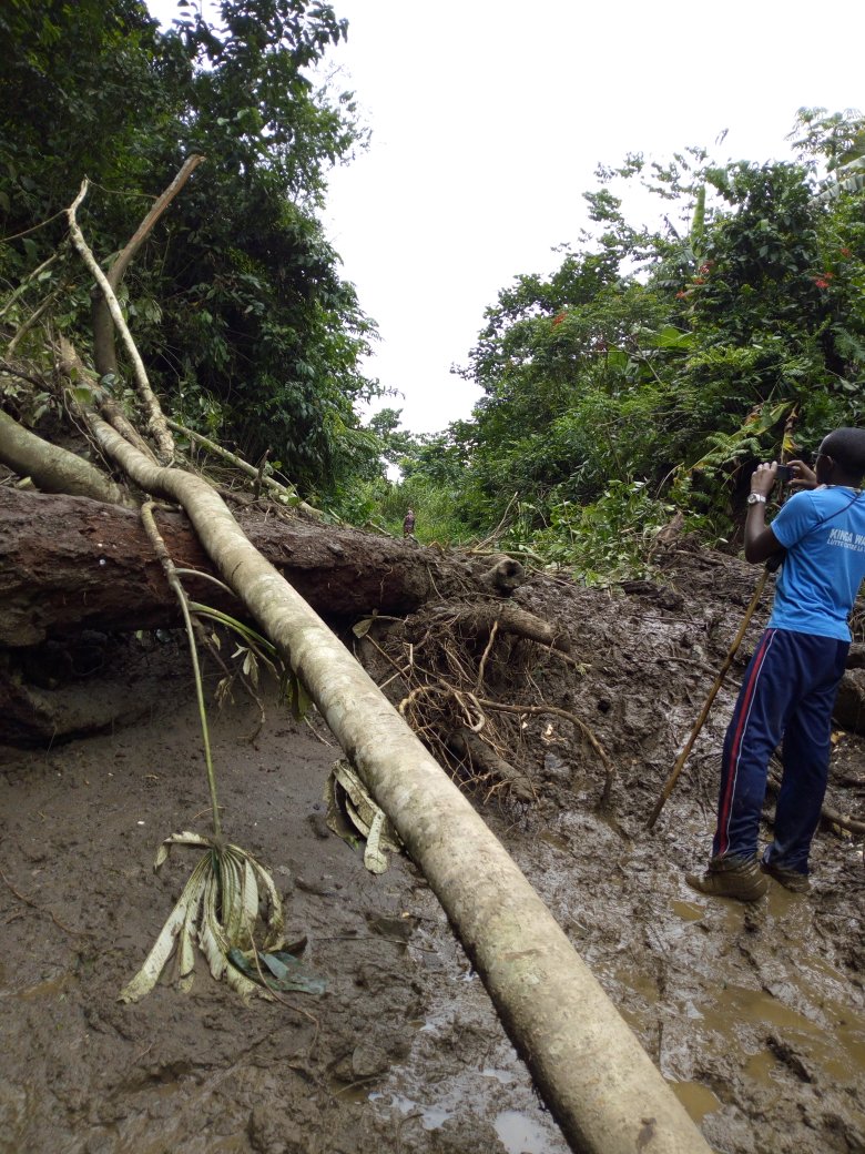 Lucoderasbl's tweet image. SOS, les éboulements et inondations font la rage sur l'axe Walikale - ITEBRO fief électorale de Mme la Ministre Élisée M. Que cette élue du peuple fasse tout pour réhabiliter cette route d'intérêt commun.
