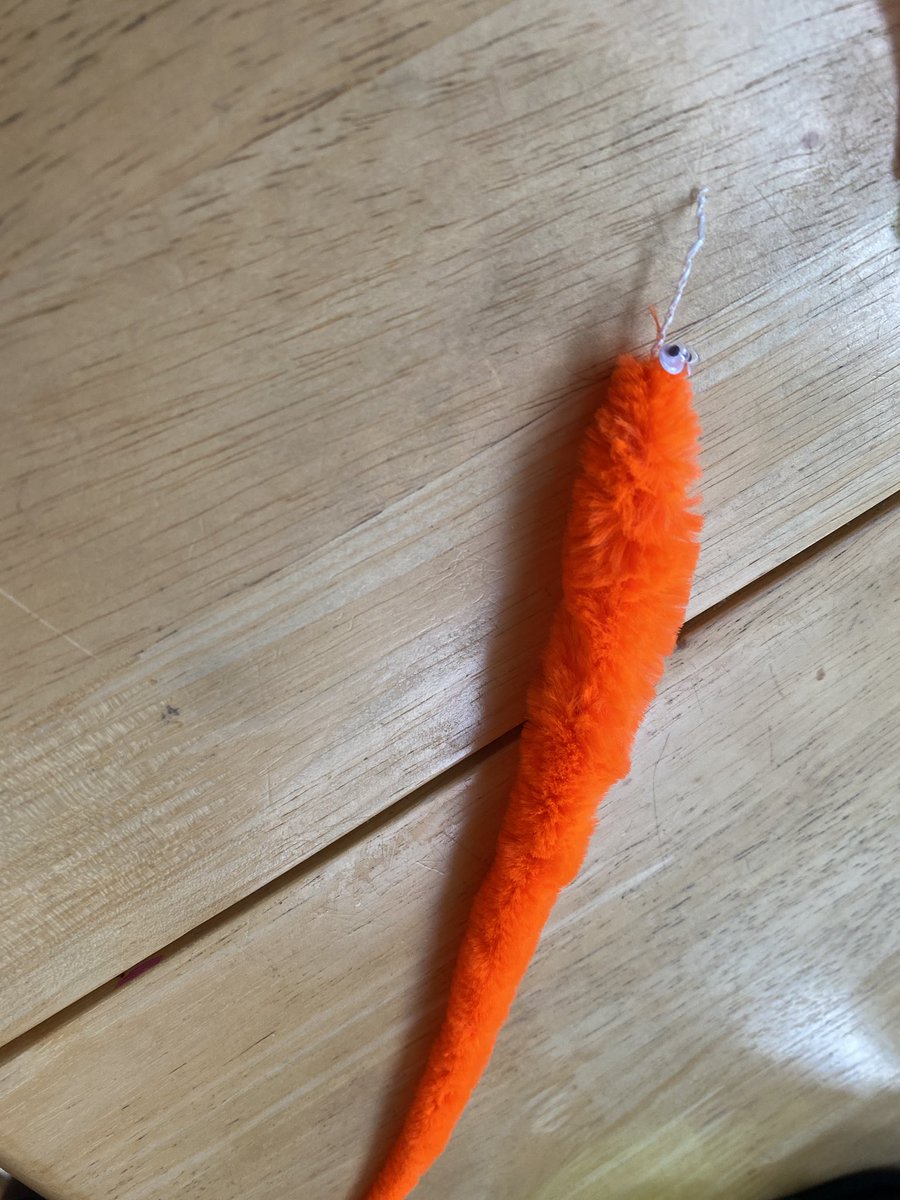 Jack On Twitter The Anatomy Of Worm On A String