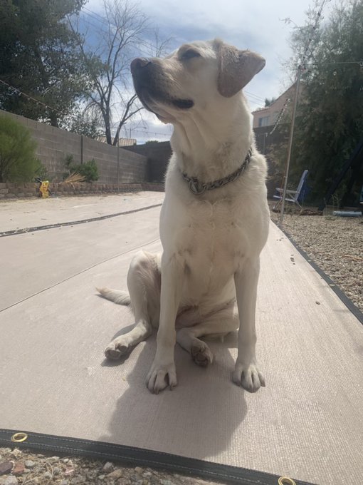 Thank you for your help hanging up posters!!! Going to go print out more! @KennyJezus @WillTileXXX and<a href="/tag/realloyalfans"class="tags"><span>#realloyalfans</span></a>