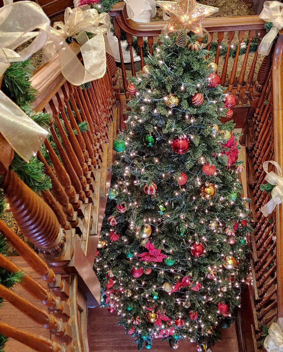mikesipplejr's tweet photo. A weekend of preparing for the Newport, KY East Row #VictorianChristmas Tour. 

#NewportKY #mansionhill #wiedemann 
#eastrowhistoricdistrict #cincyexperience #victorianarchitecture #thisoldhouse #christmastree #christmasdecor https://t.co/phcBKsDWi5