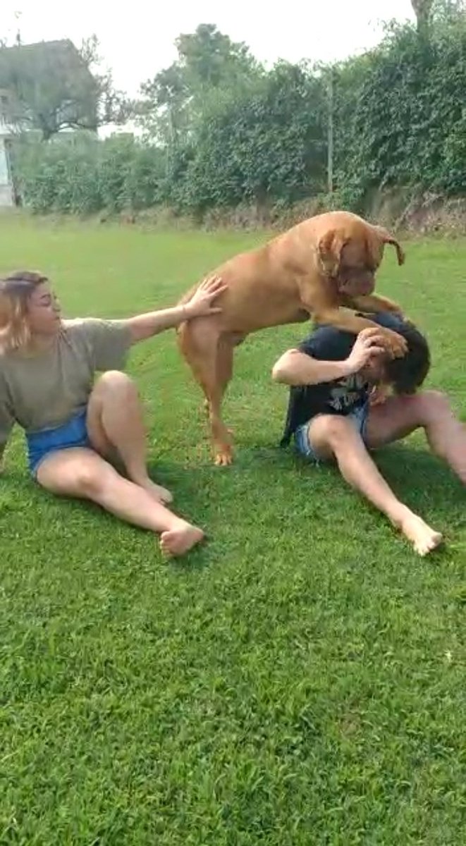 Venia bien y todo tierno