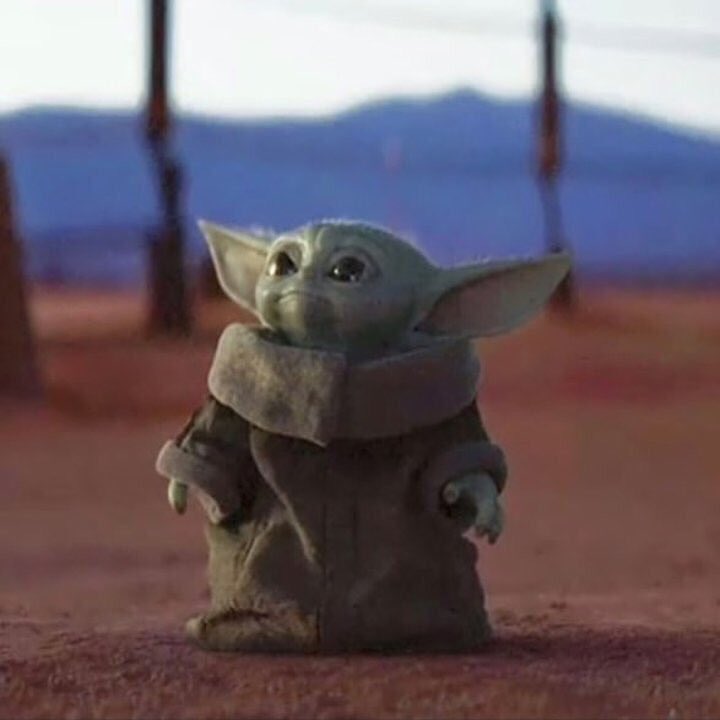 taylorbaxter's tweet photo. I’m gonna tell my kids this was baby grinch https://t.co/YaNXfdG87m