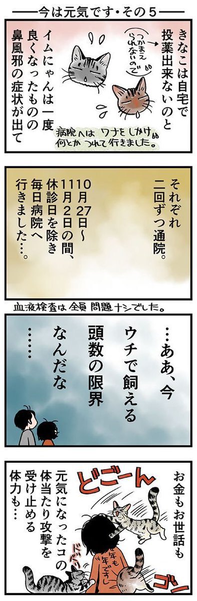 「今は元気です・その5」
病院の皆さま本当にありがとうございました。
(山野りんりんさんの「猫まみれライフ」)他1話です。⇒( 