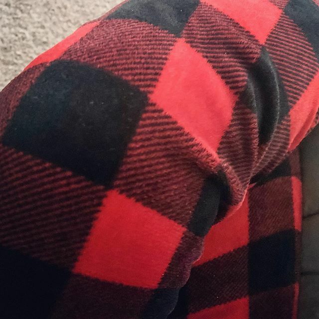 pfessentials's tweet photo. Day 23 of my #buffaloplaidchallenge are my pajamas. If you’ve been following along, yes, I have 3 pairs of pajama pants that are #buffaloplaid 🙂 these are my fuzzy ones!
.
.
.
.

#buffaloplaidobsessed #buffaloplaideverything #buffaloplaiddecor #buffa… https://t.co/piIAXs6jrm https://t.co/cACBT5fkNO