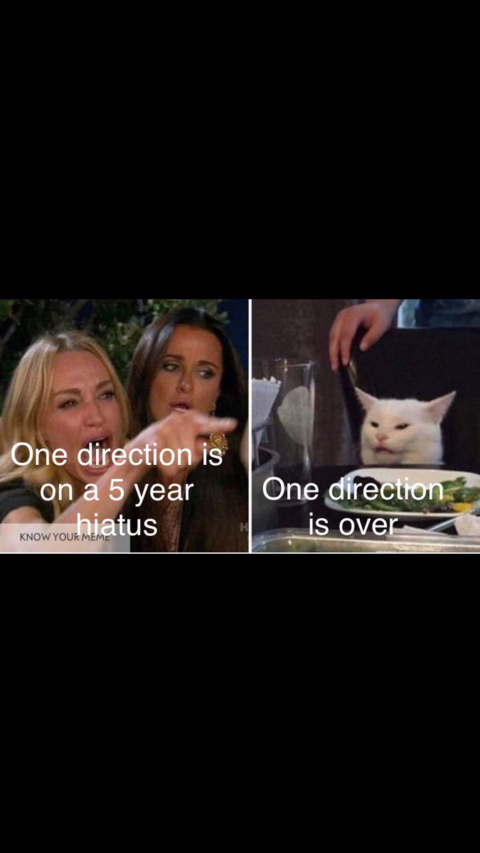 mary98462005's tweet photo. Me vs. the haters #OneDirection #LiamPayne #HarryStyles #ZaynMalik #LouisTomlinson #NiallHoran #onedirectionhiatus #onedirectionwillbeback https://t.co/VKGMilVXNe