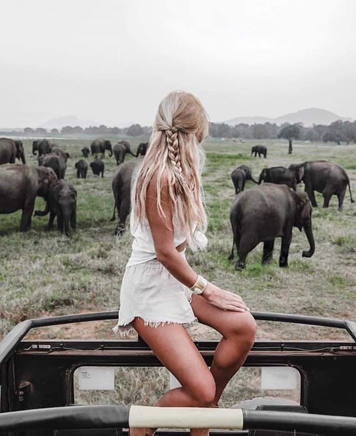 CenterLanka's tweet photo. #Vacaciones_a_SriLanka #Coche_con_conductor_en_SriLanka #Paquetes_turísticos_a_SriLanka
Contáctanos a través de WhatsApp👇https://t.co/Eq3zTgQehI https://t.co/gtrleayNGn