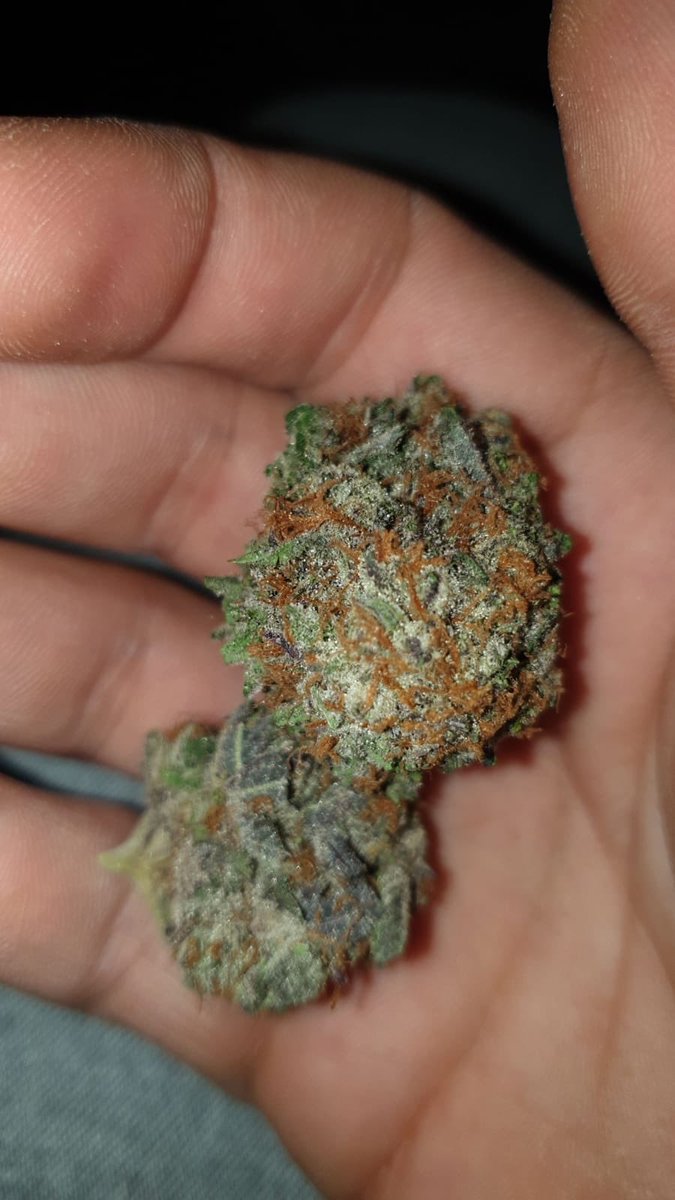 potpigeonusa's tweet photo. Mango sapphire! Tastes like a windy friday next to a fruit store #goodpallet #tastebuds https://t.co/5nqCba3HEH