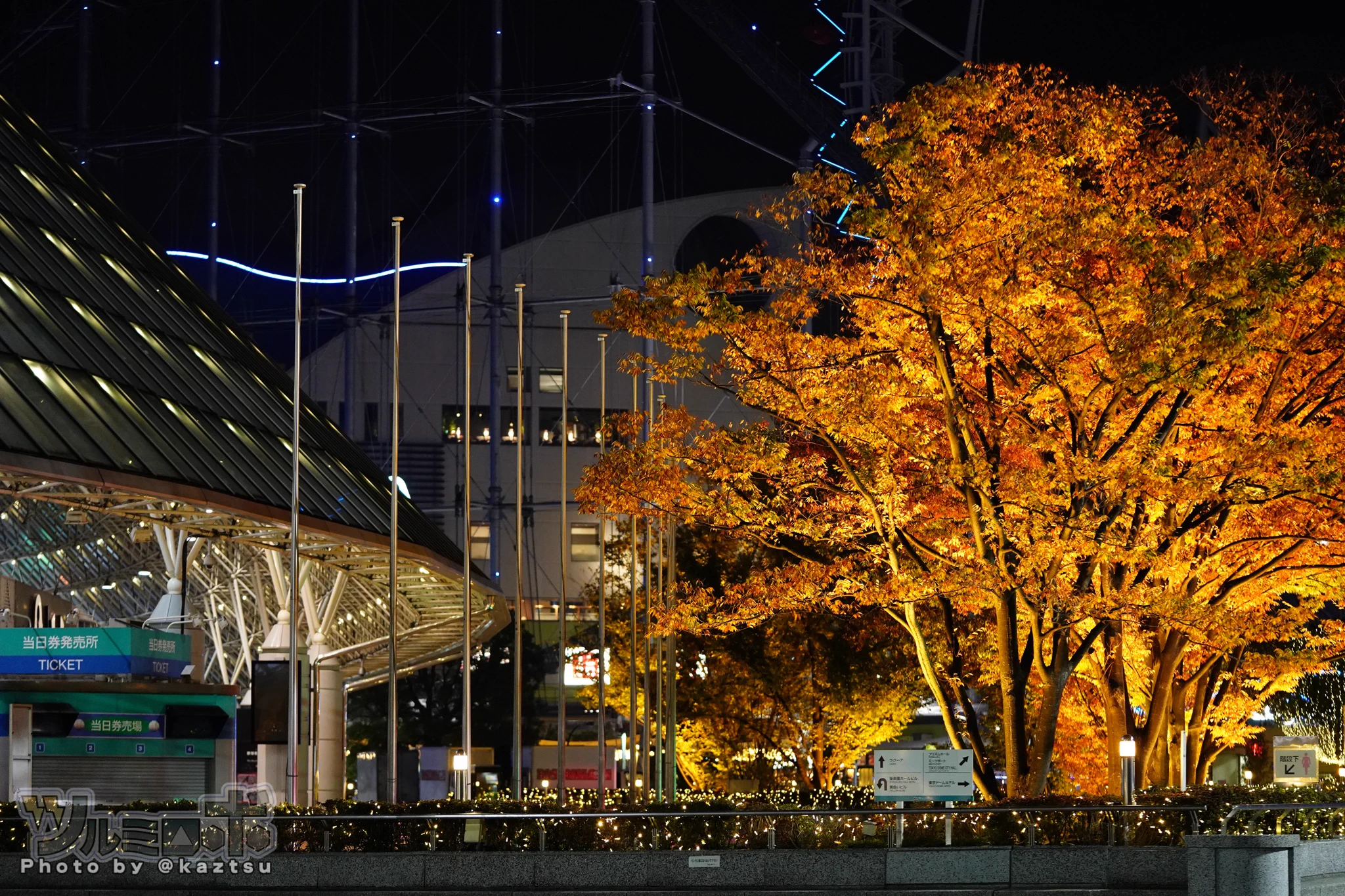 ローマ教皇来日記念の、オフィシャルグッズ看板www