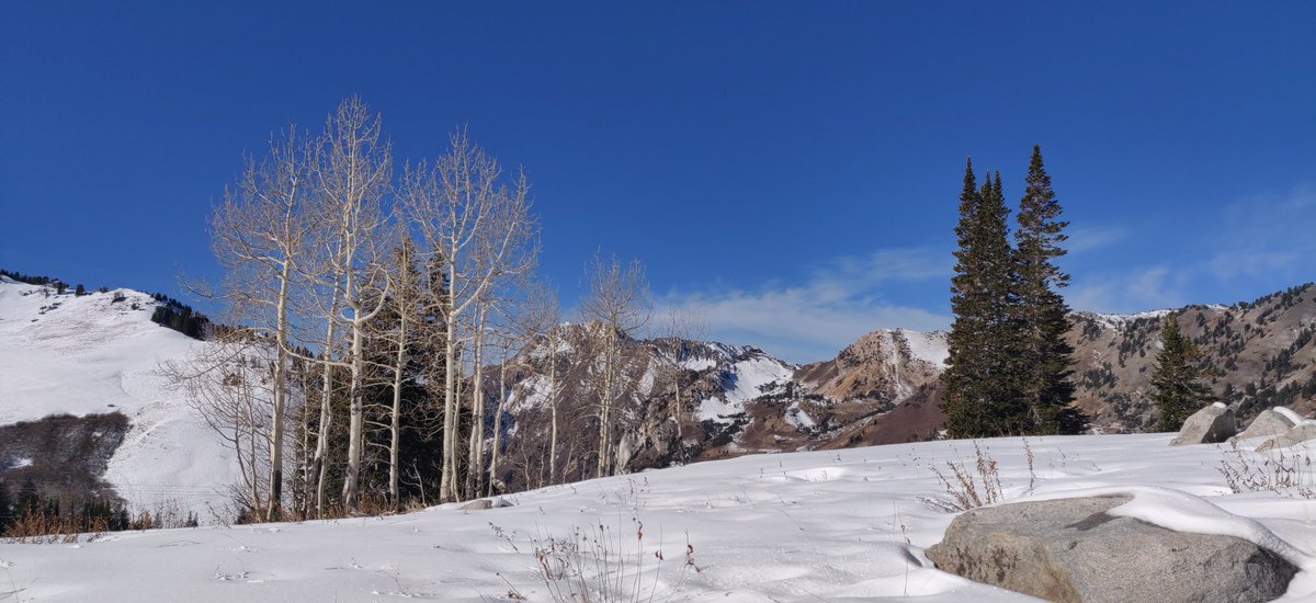 BjarkeAL's tweet photo. Had a nice little trip over to Alta on my last day before I head home after #icids19. Went up to a skiing trail I don't think I was supposed to walk on but no one stopped me. Only when I sunk into the snow to my shins did I accept this wasn't the best idea, and turned back. https://t.co/r8ZIAD9IOy