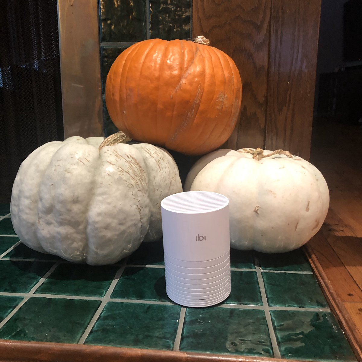 #ad Social media is such a large part of life but there photos &amp; videos that we don’t want to share publicly - #ibi is the perfect solution to easily share private photos and videos with your family and friends. It’s the perfect gift for the holidays! —> spr.ly/60061MatA